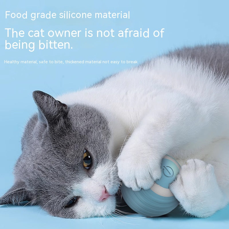Automatic rolling cat ball toy on white background
