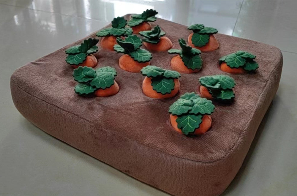 Carrot shaped pet toy suitable for indoor use