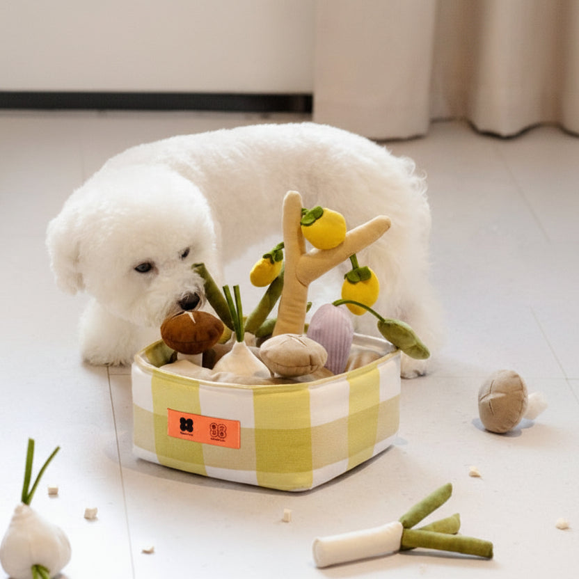 White dog playing with a checkered toy basket filled with plush toys on a light-colored floor.