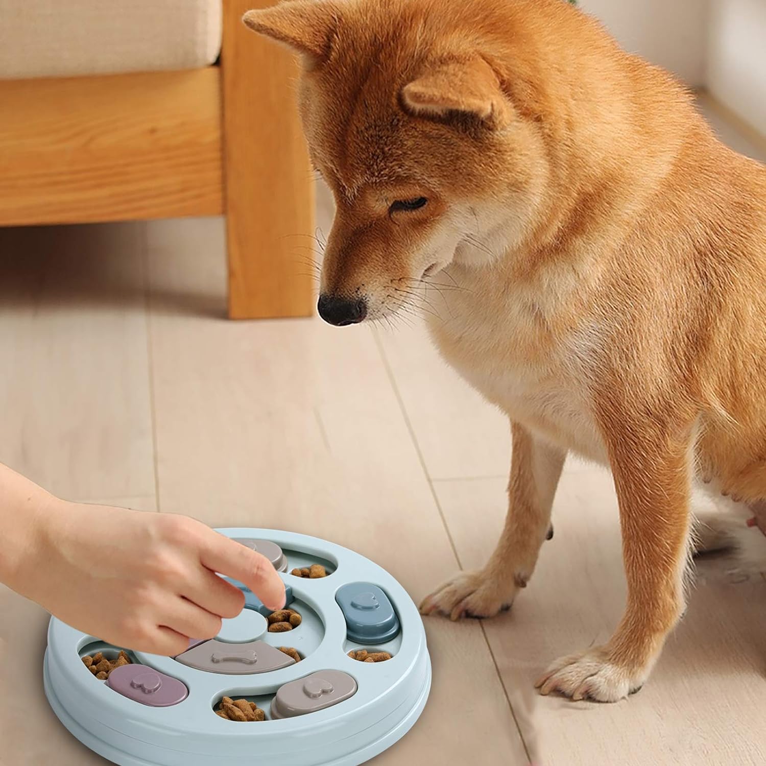 Dog interacting with a puzzle toy on a wooden floor.