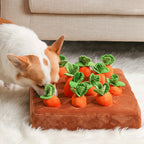 Dog playing with a carrot-shaped pet toy on a cushion