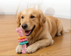 Dog playing with a colorful chew toy on a wooden floor.