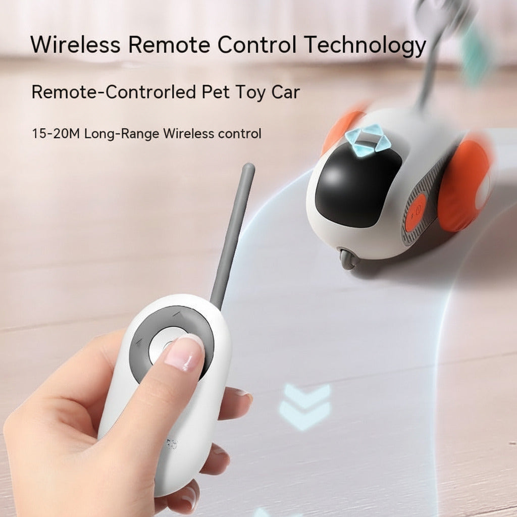 Hand holding a remote control with text about wireless control for car rides at home.