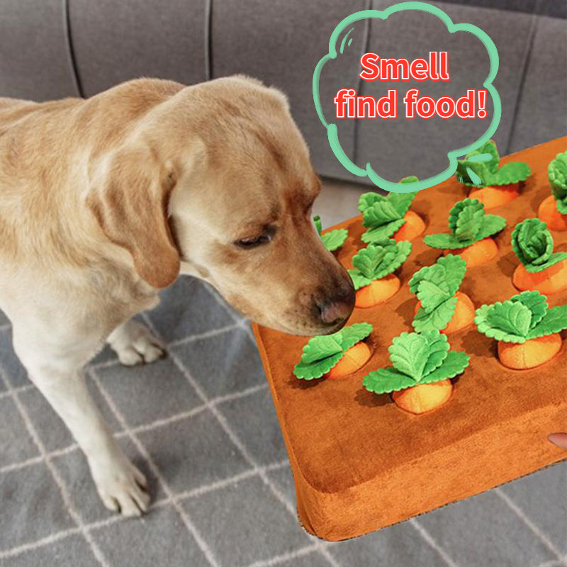 Carrot dog toy on white background