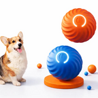 Dog with colorful lampshades on a blue and orange background