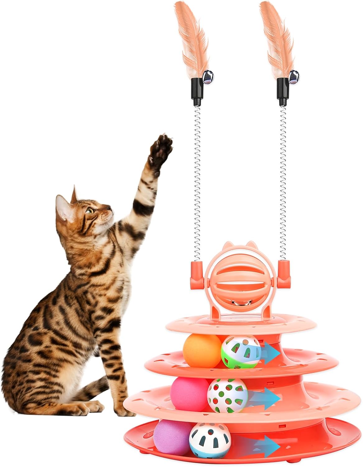 Cat using puzzle toy to chase and explore