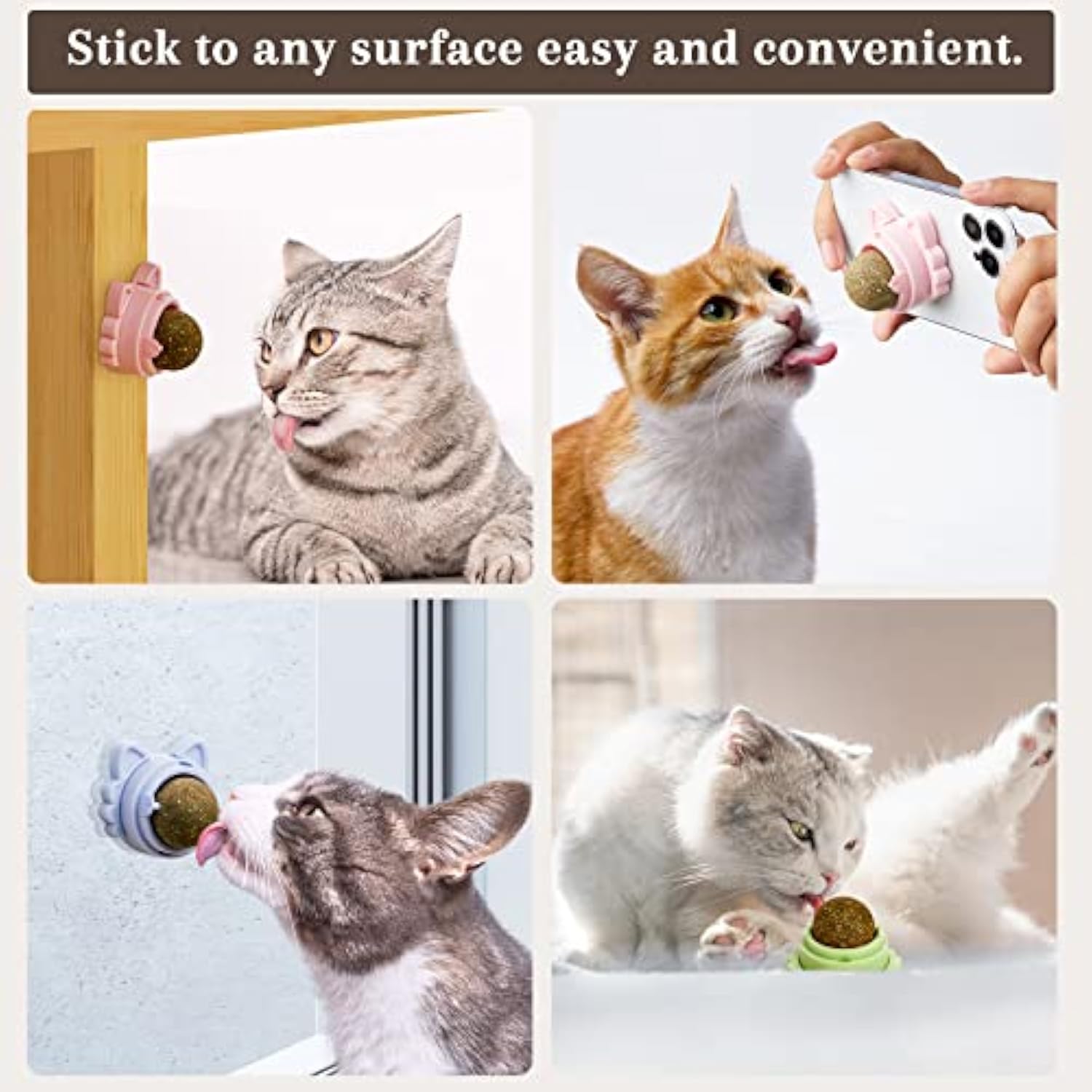 Wall-mounted catnip toy for cats dental cleaning