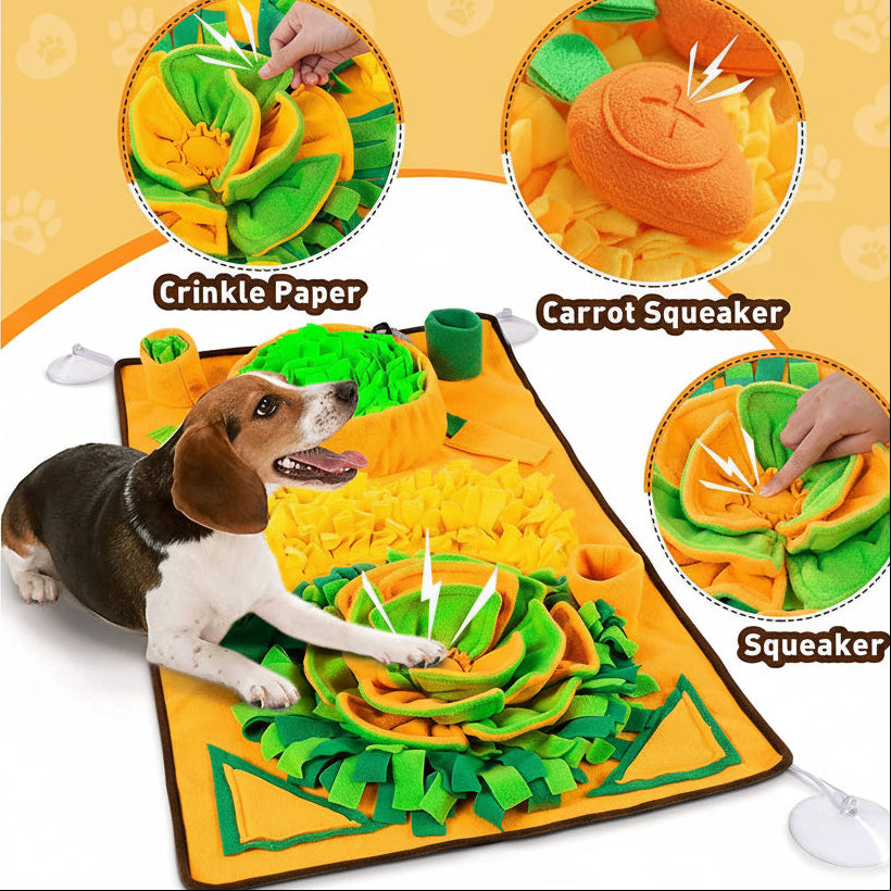 Dog playing with a colorful mat featuring crinkle paper, carrot squeaker, and squeaker components.