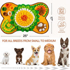 Dog toy with colorful design and dimensions, suitable for small to medium dogs.